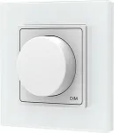 SKYDANCE PK1(G) RF Remote Control, Single Color, 1 Zone