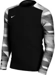 Nike Dry Park IV JSY LS GK JUNIOR Goalkeeper Sweatshirt Black CJ6072 010 XS