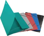 Forpus Kummiga mapp 1-100 lehte A4 plast must, 2 tk