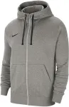Nike Men's Park 20 Hoodie grey CW6887 063