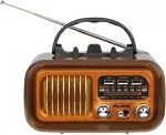 Raadio Blow Portable analog AM/FM radio RA16 solar