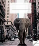 Victor Stationery OU Kaustik 36 lehte, jooneline, 5 tk