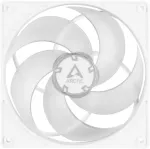 Arctic P14 PWM PST (white/transparent)