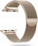 Tech-Protect kellarihm MilaneseBand Apple Watch 38/40mm, kuldne