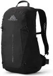 Gregory Plecak turystyczny Arrio 20 - shadow pine black