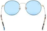 WEB EYEWEAR P&auml;ikeseprillid naistele WE0254-32V (L&auml;&auml;ts/Sild/Tagaosa) 49/15/145 mm