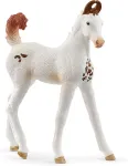 SCHLEICH HORSE CLUB Marwari hobuse varss