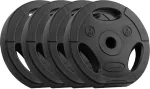 Rebel Bituminous Weight Set 4x5kg, bore 31mm, disc with handles, ACTIVE