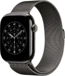 APPLE 46mm Slate Milanese Loop, S/M