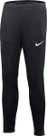 Nike Academy Pro Pant Youth Black-Green DH9325 011 XL