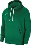 Nike Men's Team Club 20 Hoodie green CW6894 302