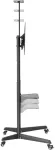 NEOMOUNTS BY NEWSTAR TV SET ACC FLOOR STAND 37-70"/FL50-550BL1 NEOMOUNTS