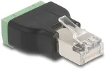 DELOCK RJ45 Stecker zu Terminalblock Adapter 4 Pin