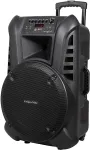 K&otilde;larid No name Active Speaker Cabinet (with 2 wireless microphones UHF, SD, Bluetooth, FM, USB) 60 Watt