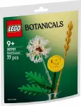 Lego 30701 Botanicals Field Flowers, construction toy