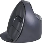 Hiir No name e Evoluent VerticalMouse D Large (BNEEVRDLW)