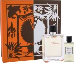 Hermes Terre d'Hermes 100ml - SET1 Eau de Toilette meestele
