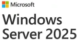 MICROSOFT Windows Server CAL 2025 English 1pk DSP OEI 5 Clt Device CAL