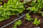 Gardena MDS Spray Nozzle 360&deg; Kreisf&ouml;rmige Wassersprinkler Kunststoff Schwarz (13322-20)