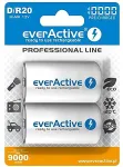 EverActive EVHRL20-10000 household battery Rechargeable battery D Nickel-Metal Hydride (NiMH)