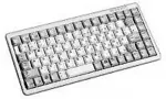 Klaviatuur CHERRY ML4100 Tastatur Wired EU MX schwarz TKL 75% hellgrau
