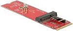 DeLOCK - Schnittstellenadapter - M.2 - PCIe - PCIe, USB