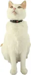 ZOLUX Chatouille black - cat collar