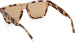 WEB EYEWEAR P&auml;ikeseprillid meestele WE0314-0041F (L&auml;&auml;ts/Sild/Taldrik) 00/0/145 mm)