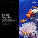 Tooner XEROX Yellow Standard Capacity Toner Cartridge (1.500 pages)