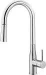 Deante Kitchen faucet with pull-out spout - 2 jet types