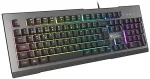 Klaviatuur GENESIS Rhod 500 RGB keyboard Gaming USB QWERTY Portuguese Black, Silver