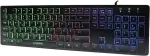 Klaviatuur Logilink Beleuchtete Tastatur LED Regenbogenbeleuchtung