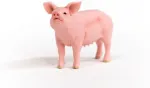 SCHLEICH FARM WORLD Siga