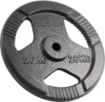 Rebel Cast iron weight 20kg, bore 31mm, disc with handles, ACTIVE
