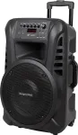 Kruger & Matz Active Speaker Cabinet (with 2 wireless microphones UHF, SD, Bluetooth, FM, USB) 40 Watt