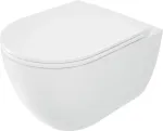 Deante Rimless toilet
