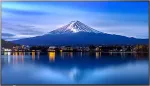 SHARP P436 43IN LFD UHD 700CD/M2 D-LE BACKLIGHT 24/7 PROOF SDM SLOT CM