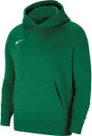 Nike Park 20 Fleece Pullover Hoodie green CW6896 302