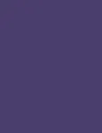 Inebrya Color Violet 100ml - Hair Color uniseks