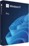 MICROSOFT MS Windows 11 Professional FPP 64-bit Slovak USB