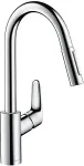 HANSGROHE Focus Stainless steel