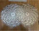 Home4you Lauamatt DANDELION D38cm, h&otilde;be