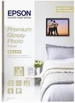 Epson Premium Glossy Photo Paper - Fotopapier, gl&auml;nzend - Rolle (40,6 cm x 30,5 m) - 260 g/m2 (C13S041742)