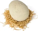 PRIMAL HATCH Jurassic World Interactive Toy Dinosaur & Egg, Hatch & Train your own Baby Dino with 100+ Sounds & Reactions, Kids Toys for Boys & Girls Aged 5 & Up