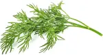Click & Grow Smart Garden refill Till 3tk
