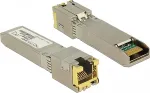 DELOCK adapter SFP + module 10G / RJ45 / SFP + - 10GBase-T RJ45