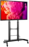 TECHly mobile TV stand 60-100cali 100kg