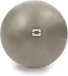 TOORX Liveness Gym ball AYP-002 D65cm with pump sand