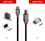 Lindy 0.5M USB 2.0 TYP C AN B KABEL ANTHRA LINE