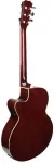 V-tone EAG SET NT electroacoustic guitar + amplifier